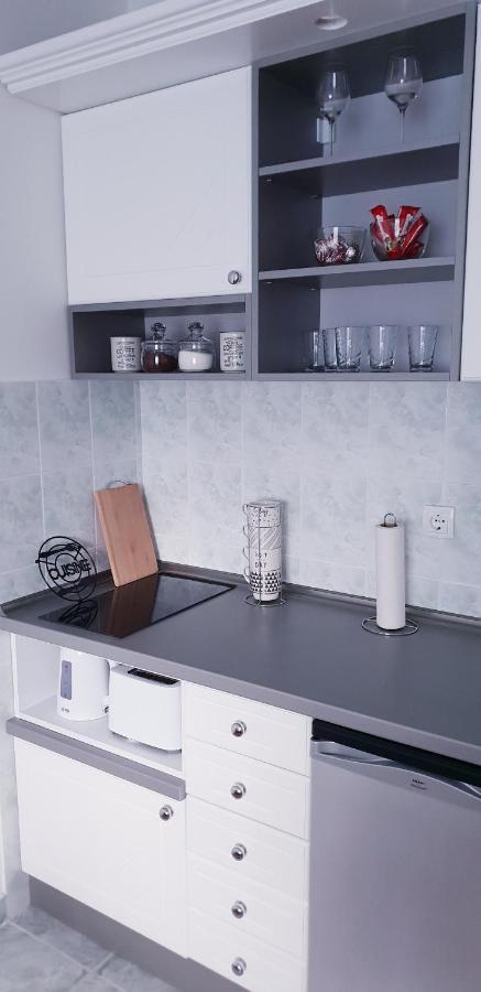 Mila Apartment Novi Sad